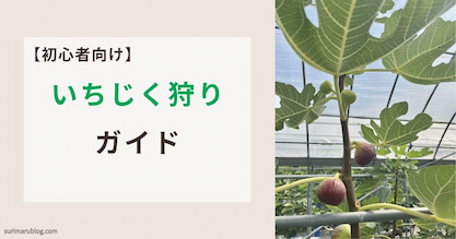 【初心者向け】いちじく狩りの持ち物・服装は？行く前に知っておきたいポイントを解説