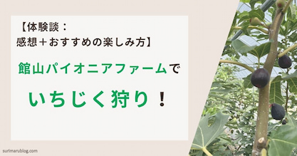 【体験談】館山パイオニアファームのいちじく狩りレビュー！3種類食べ比べた感想と楽しみ方