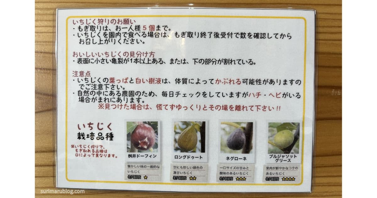 tateyamapioneerfarm-figpicking10