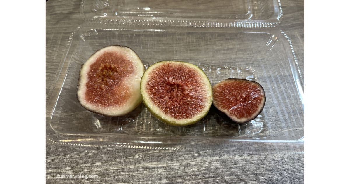 tateyamapioneerfarm-figpicking11
